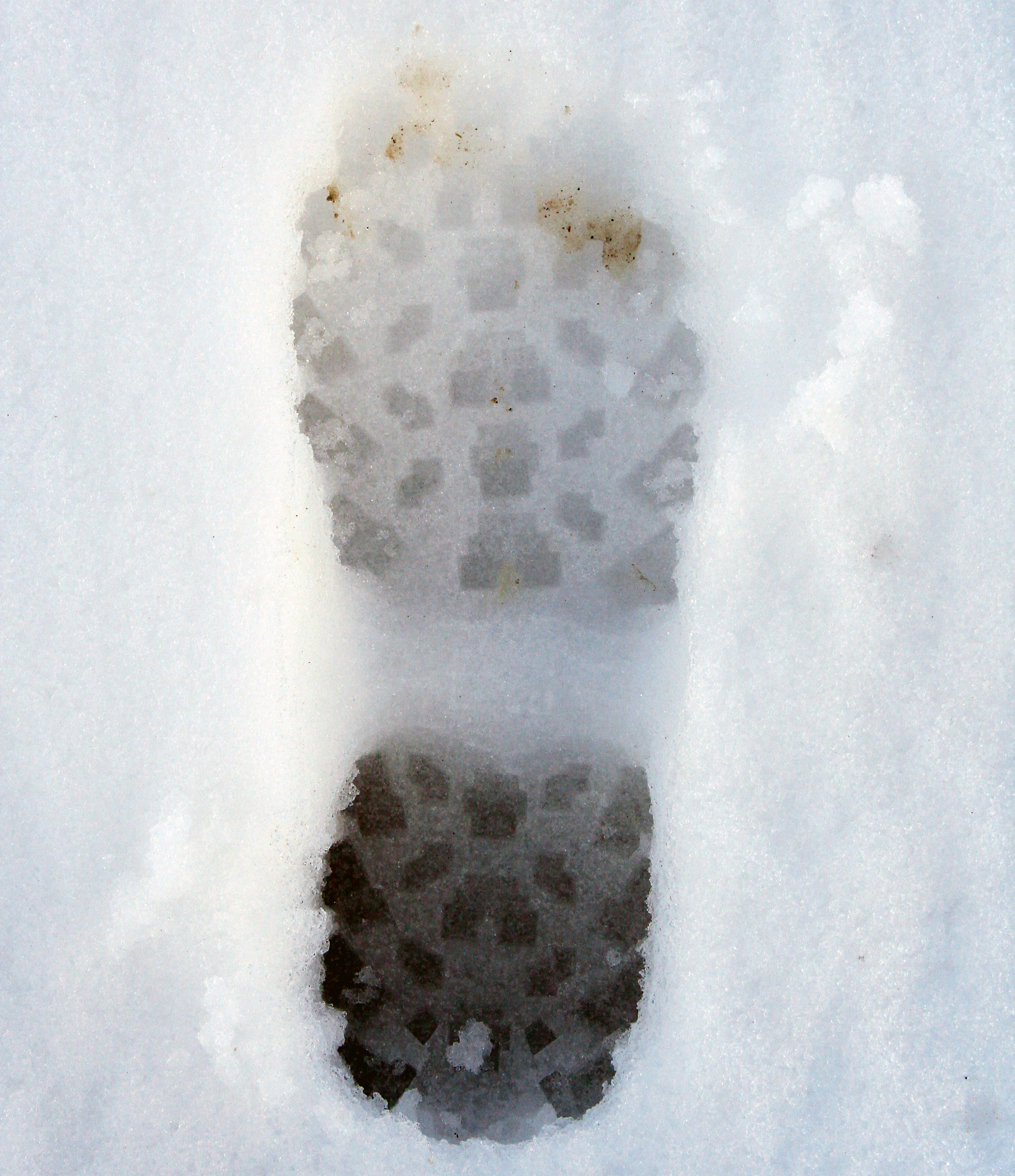The Trek Shoes
