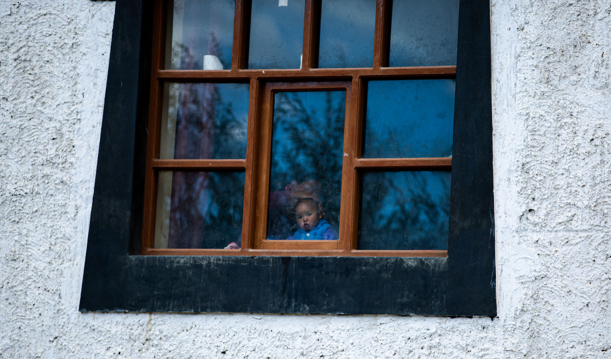 The Window